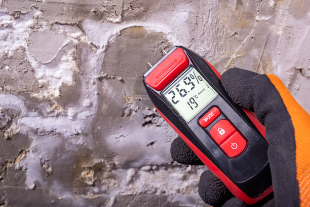 Best Insurance-Related Mold Remediation in Eastland, TX