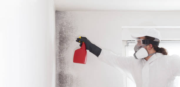 Best HVAC Mold Remediation in Eastland, TX