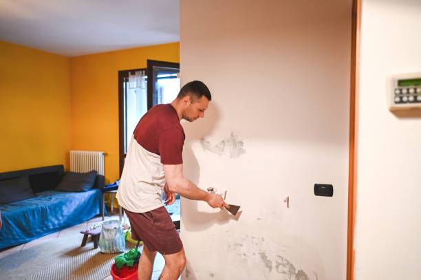 Best Kitchen Mold Remediation in Eastland, TX