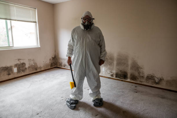 Best Mold Remediation for Specific Building Types in Eastland, TX