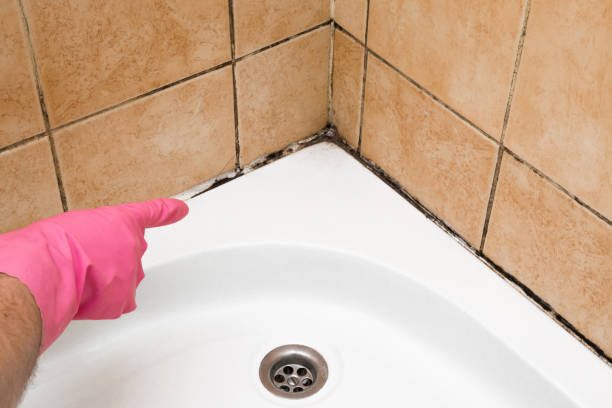 Best DIY Mold Remediation Support Services in Eastland, TX
